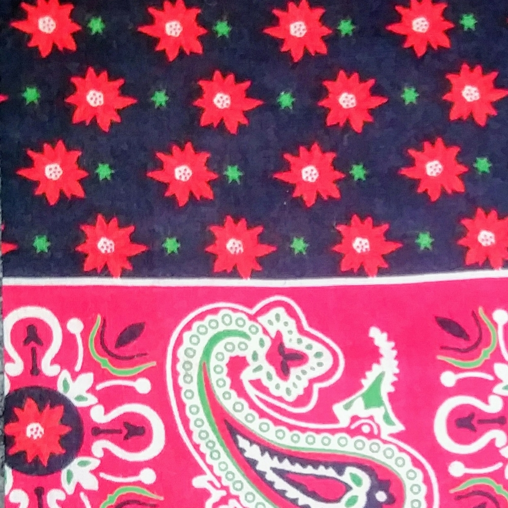 "HOT" Red paisley Bandanna